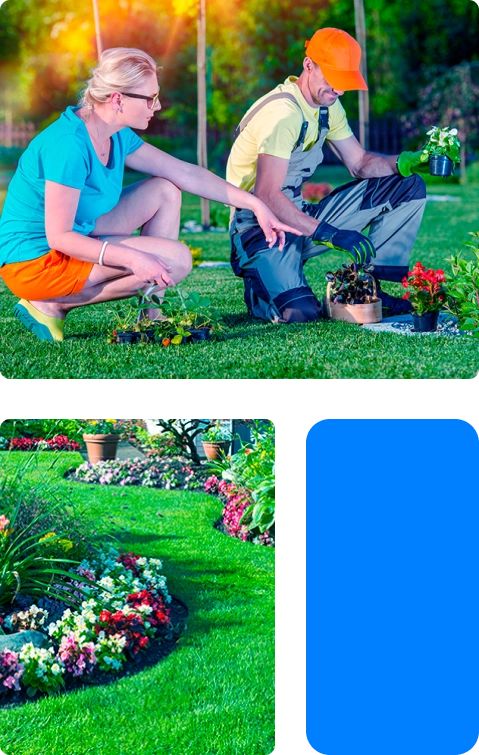 Jardinagem (1) - Embraserv - As melhores soluções em facilities para diversos segmentos!